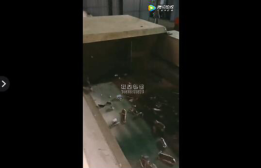 廢鋁分選機|渦電流分選機|廢鋁塑料分選設備視頻